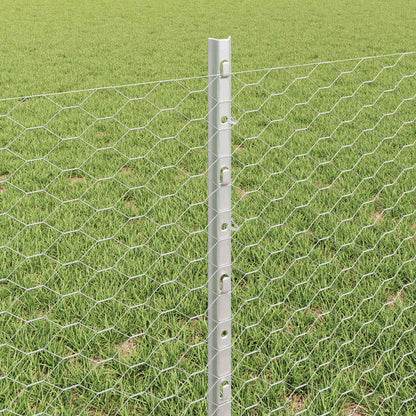 Recinzione con Posto Argento 0,6 x 100 m Acciaio