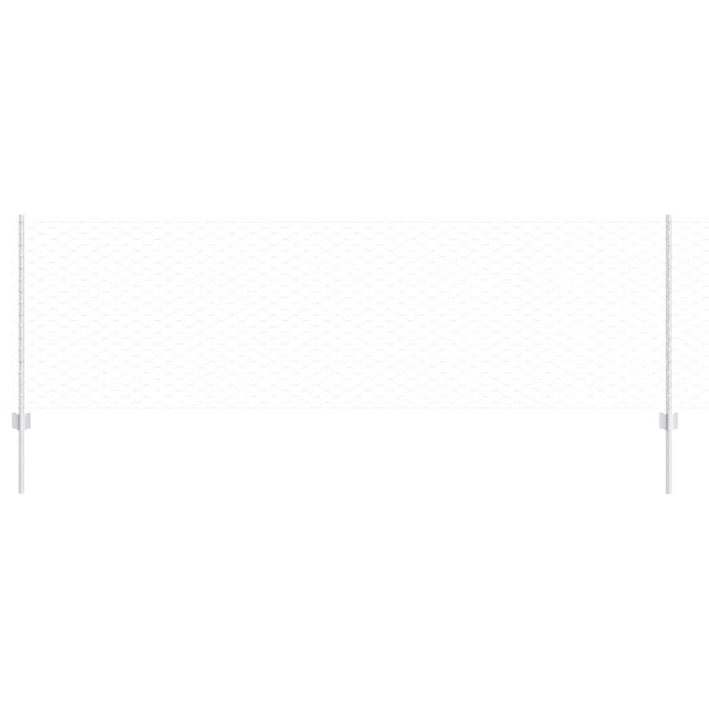 Recinzione con Posto Argento 0,8 x 100 m Acciaio