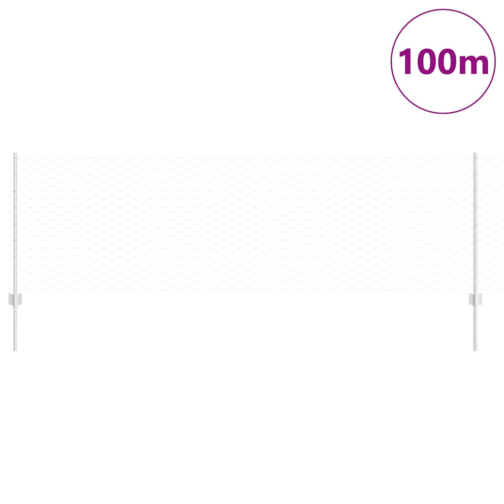 Recinzione con Posto Argento 0,8 x 100 m Acciaio