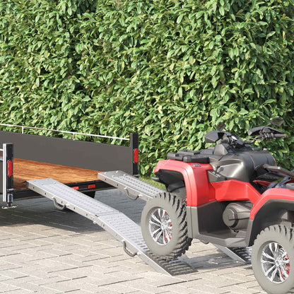 Rampe Pieghevoli 200kg per rampa 2 pcs Argento Acciaio zincato | homemem39