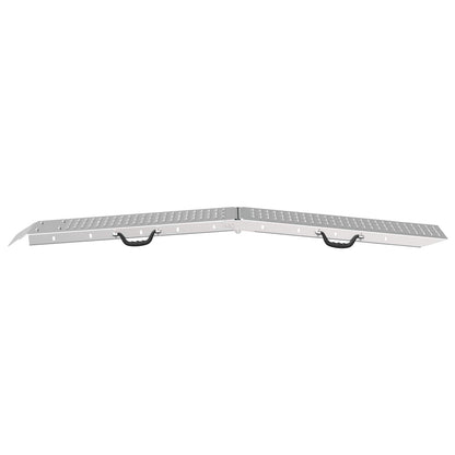 Rampe Pieghevoli 200kg per rampa 2 pcs Argento Acciaio zincato | homemem39