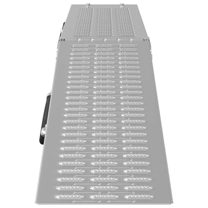 Rampe Pieghevoli 200kg per rampa 2 pcs Argento Acciaio zincato | homemem39