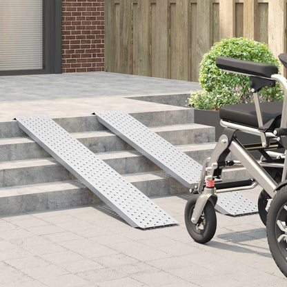 Rampe di carico 200 kg Argento 159 x 23 x 5 cm Acciaio zincato | homemem39