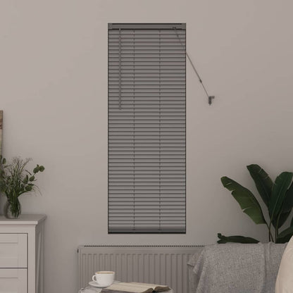 Tendaggi a veneziana Argento 175 x 40 cm Alluminio | homemem39