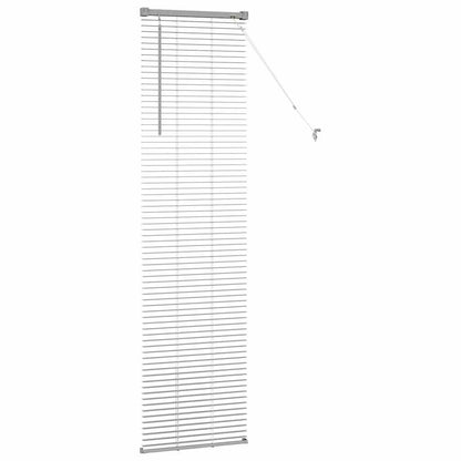 Tendaggi a veneziana Argento 175 x 40 cm Alluminio | homemem39