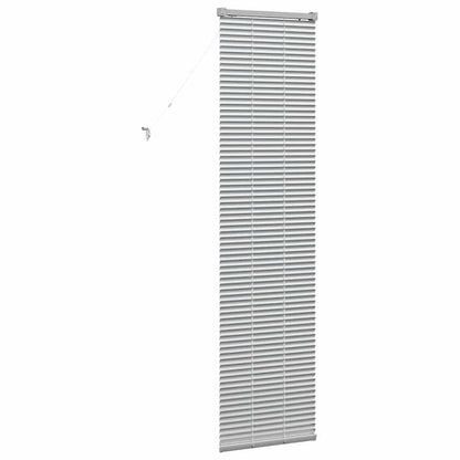 Tendaggi a veneziana Argento 175 x 40 cm Alluminio | homemem39