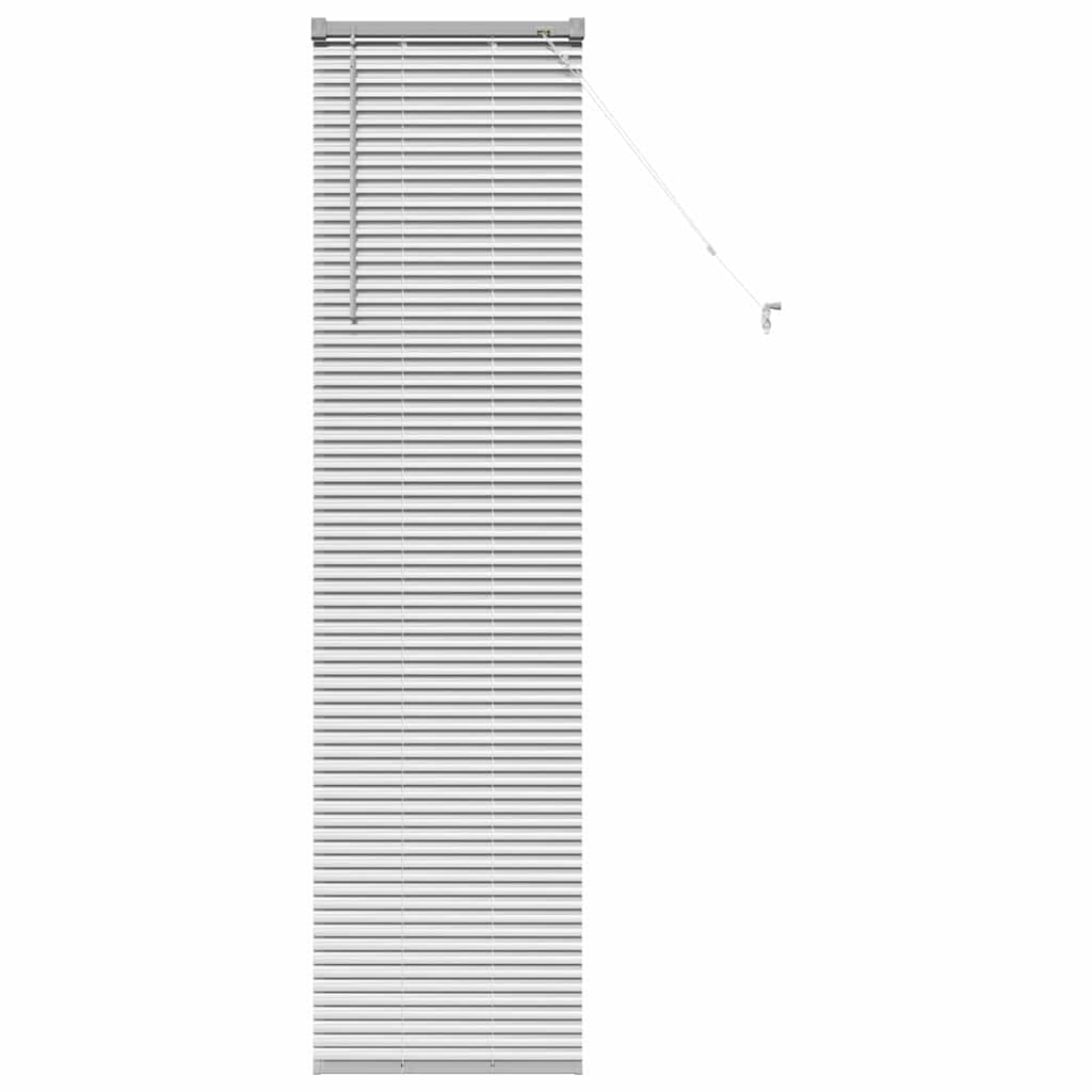 Tendaggi a veneziana Argento 175 x 40 cm Alluminio | homemem39