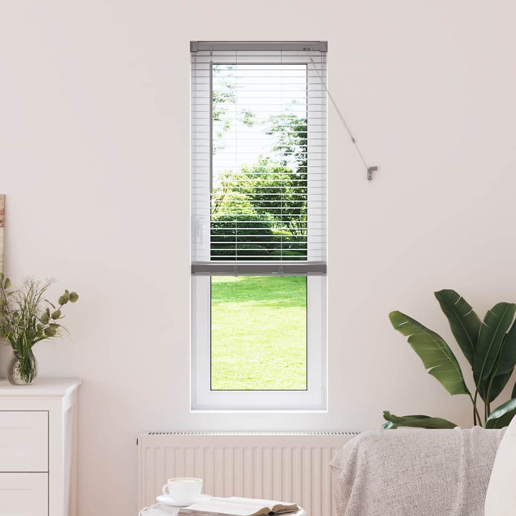 Tendaggi a veneziana Argento 175 x 45 cm Alluminio | homemem39