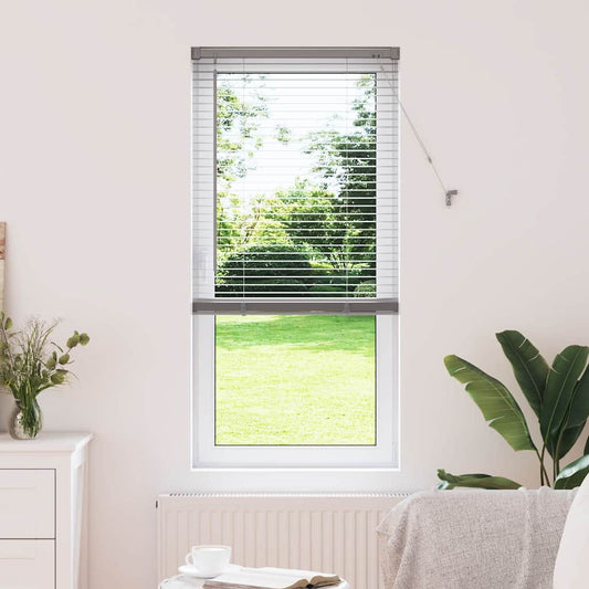 Tendaggi a veneziana con tende Argento 175 x 55 cm Alluminio