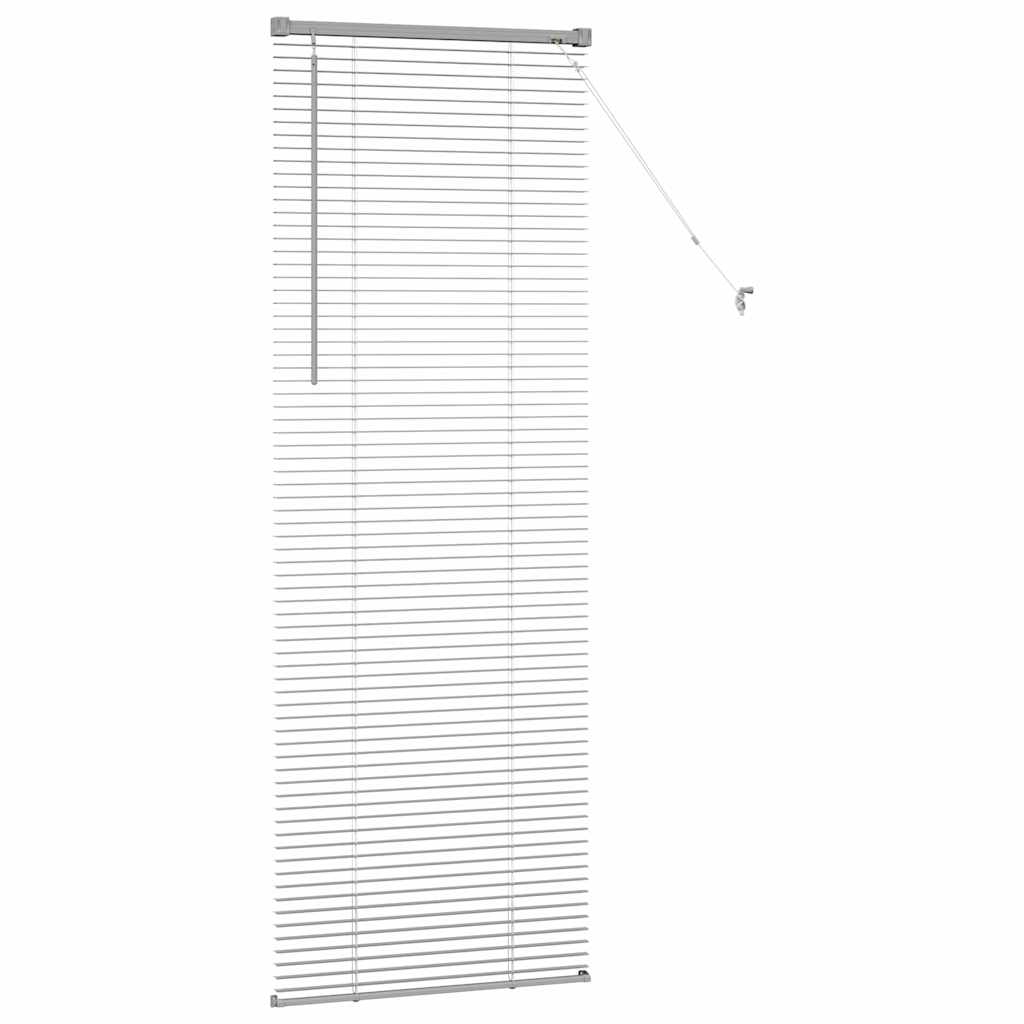 Tendaggi a veneziana Argento 175 x 55 cm Alluminio | homemem39