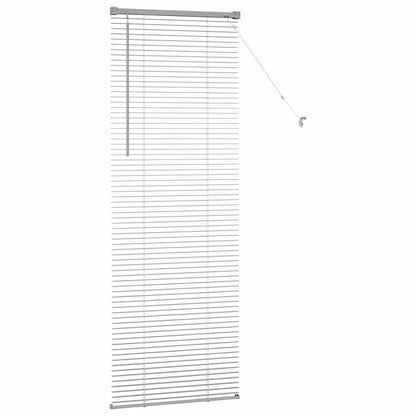 Tendaggi a veneziana Argento 175 x 55 cm Alluminio | homemem39
