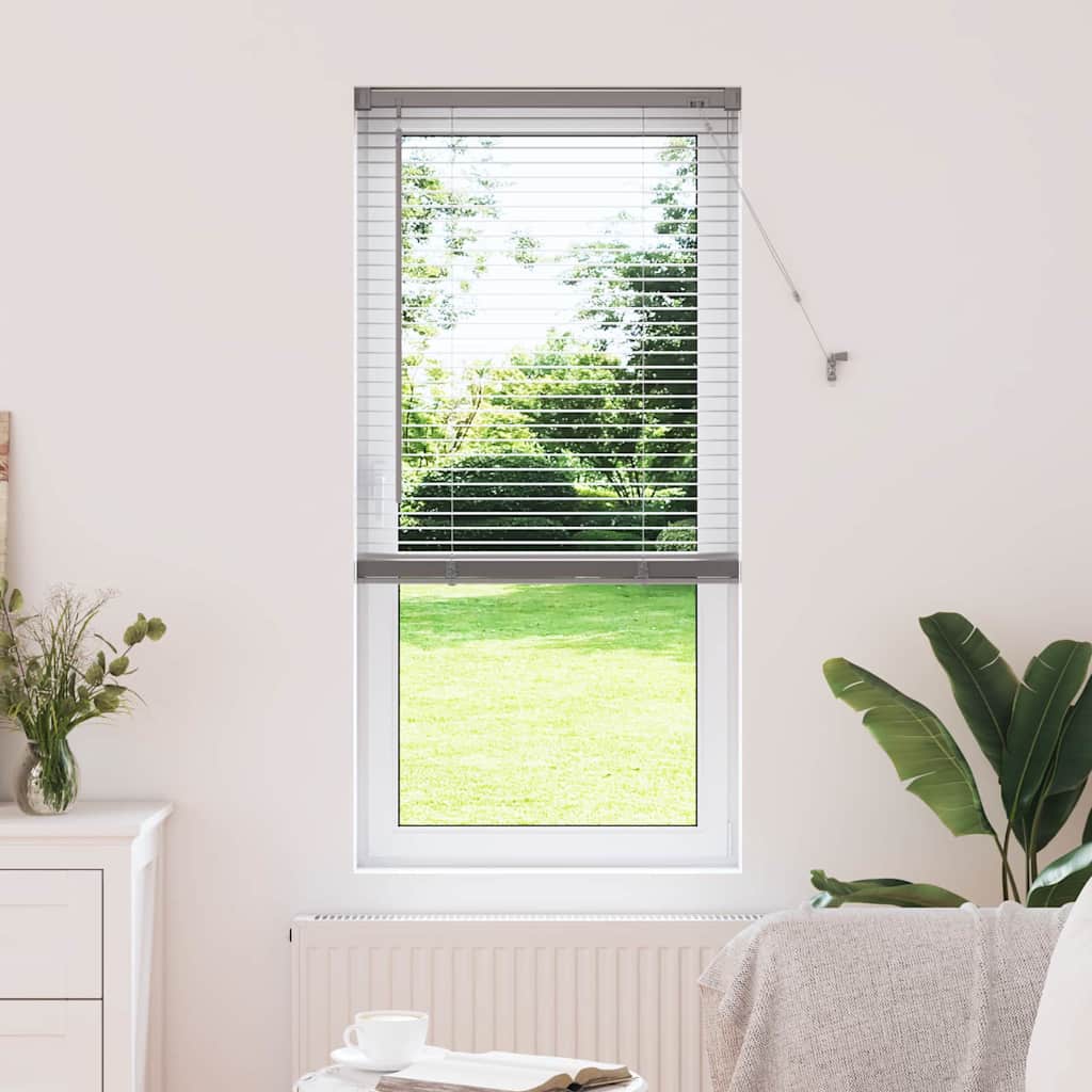 Tendaggi a veneziana Argento 175 x 60 cm Alluminio | homemem39