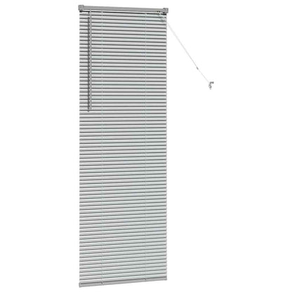 Tendaggi a veneziana Argento 175 x 60 cm Alluminio | homemem39
