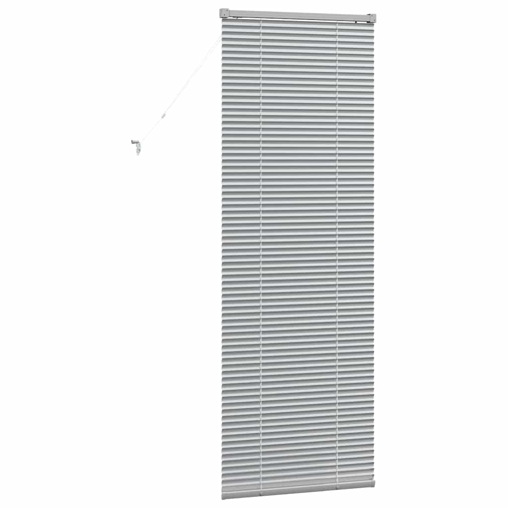 Tendaggi a veneziana Argento 175 x 65 cm Alluminio | homemem39