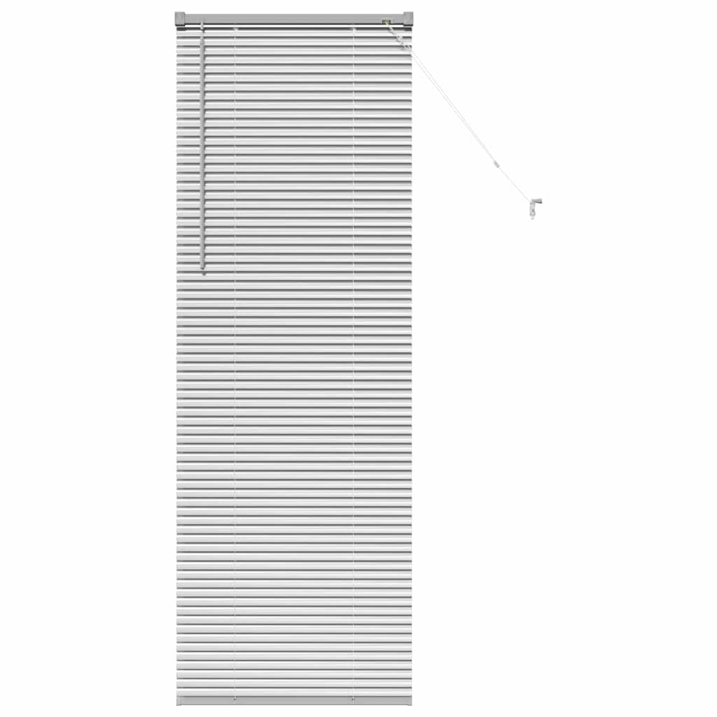 Tendaggi a veneziana Argento 175 x 65 cm Alluminio | homemem39