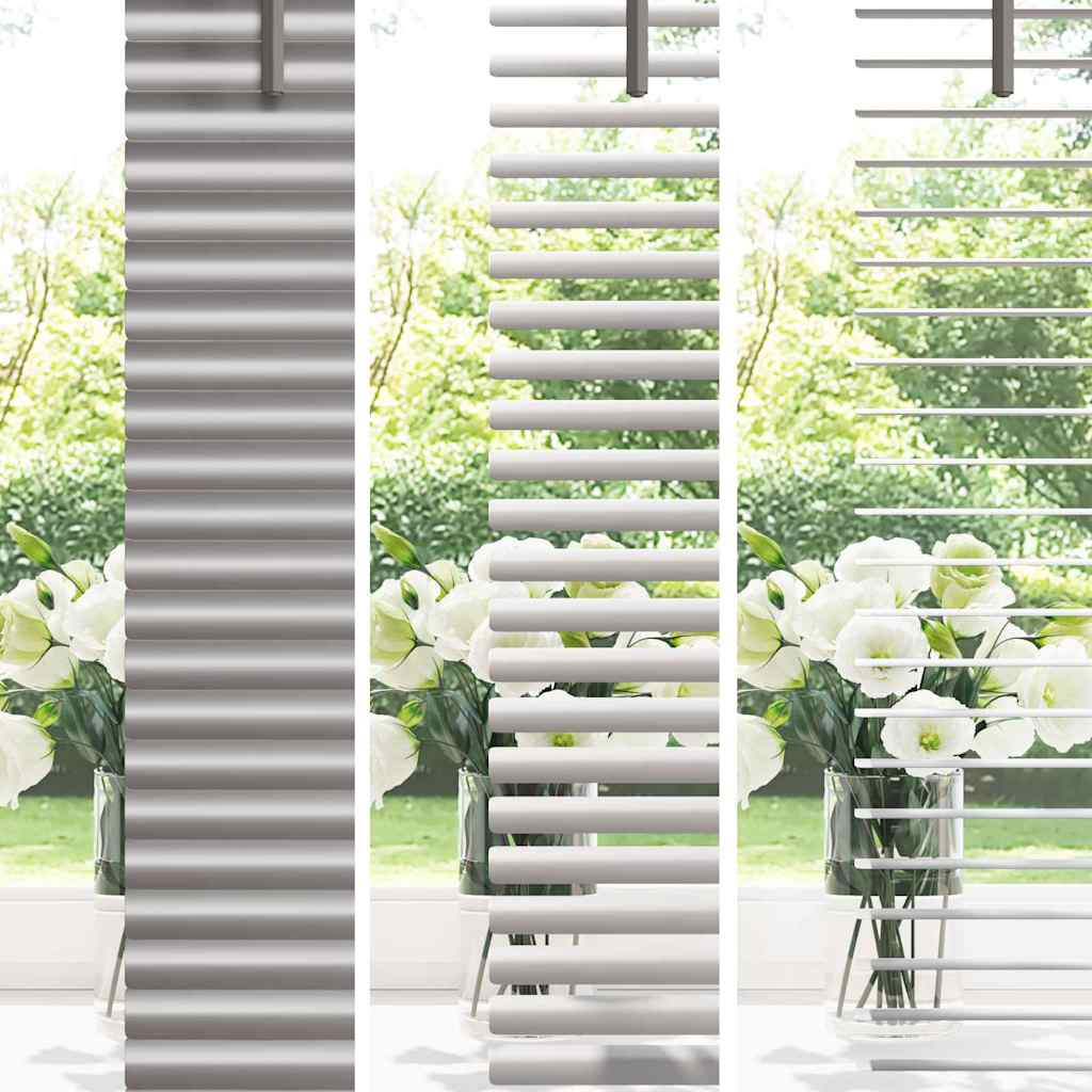 Tendaggi a veneziana Argento 175 x 70 cm Alluminio | homemem39
