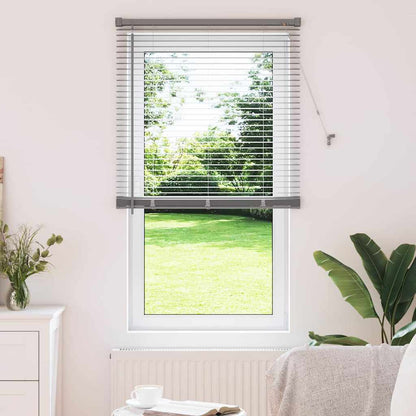 Tendaggi a veneziana Argento 175 x 75 cm Alluminio | homemem39