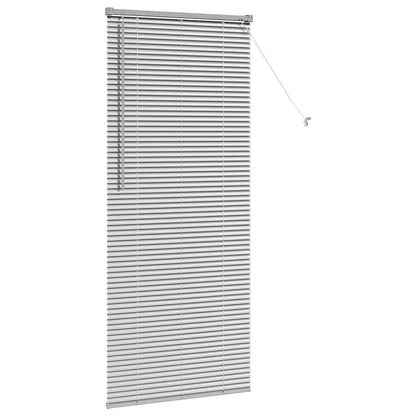 Tendaggi a veneziana Argento 175 x 75 cm Alluminio | homemem39