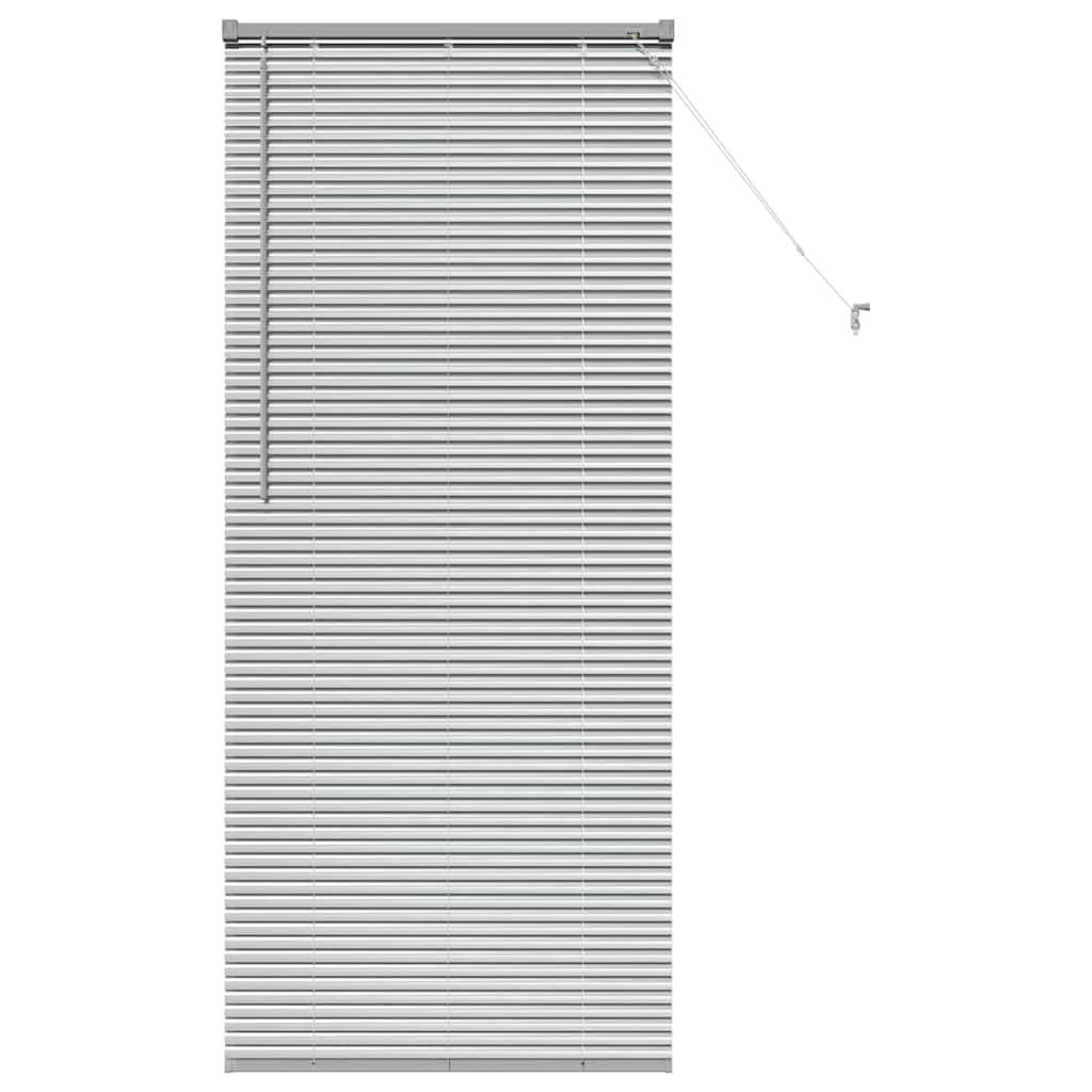 Tendaggi a veneziana Argento 175 x 80 cm Alluminio | homemem39