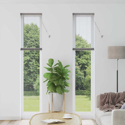 Tendaggi a veneziana Argento 220 x 45 cm Alluminio | homemem39