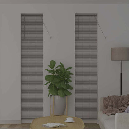 Tendaggi a veneziana Argento 220 x 50 cm Alluminio | homemem39