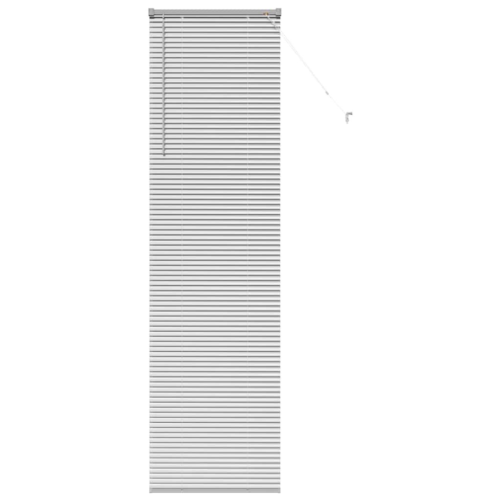 Tendaggi a veneziana Argento 220 x 55 cm Alluminio | homemem39