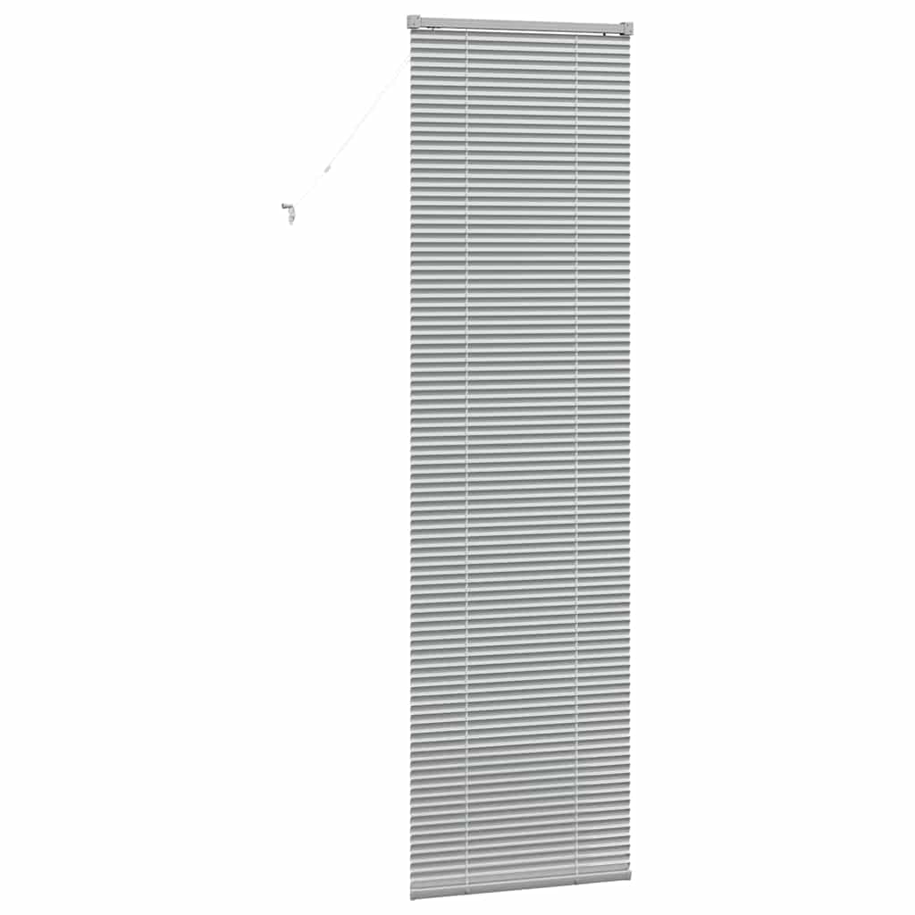 Tendaggi a veneziana Argento 220 x 65 cm Alluminio | homemem39