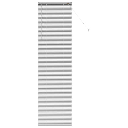 Tendaggi a veneziana Argento 220 x 65 cm Alluminio | homemem39