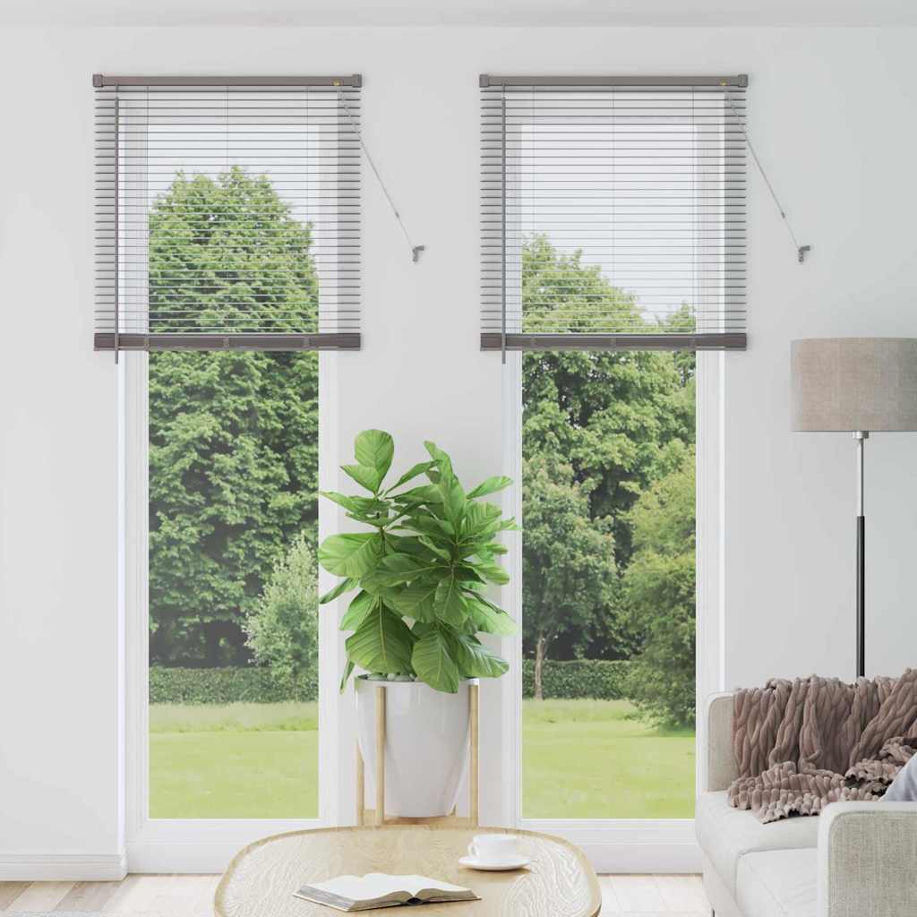 Tendaggi a veneziana Argento 220 x 70 cm Alluminio | homemem39