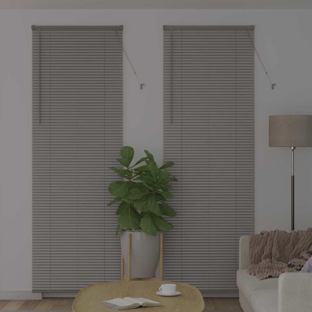 Tendaggi a veneziana Argento 220 x 70 cm Alluminio | homemem39