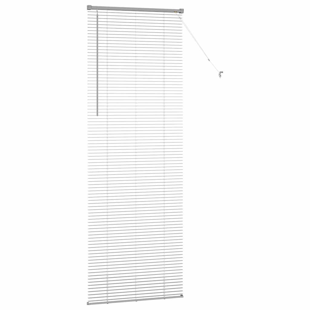 Tendaggi a veneziana Argento 220 x 70 cm Alluminio | homemem39