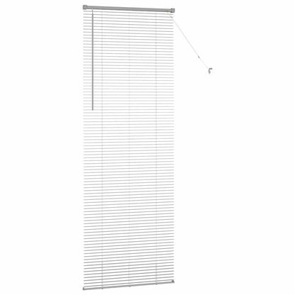 Tendaggi a veneziana Argento 220 x 70 cm Alluminio | homemem39