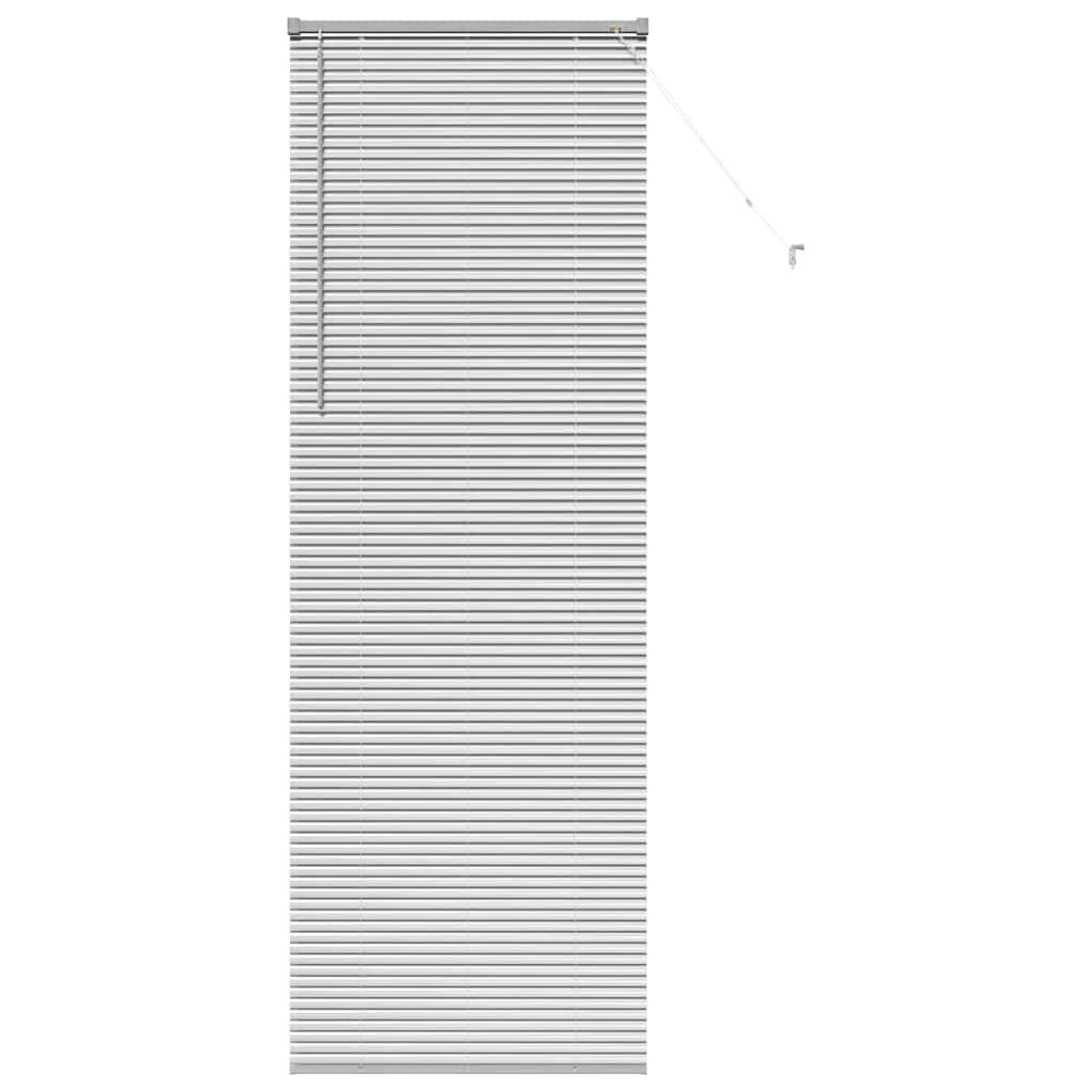 Tendaggi a veneziana Argento 220 x 70 cm Alluminio | homemem39