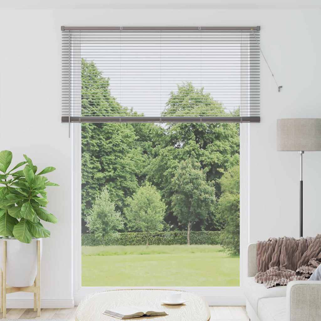 Tendaggi a veneziana Argento 220 x 160 cm Alluminio | homemem39