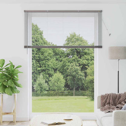 Tendaggi a veneziana Argento 220 x 160 cm Alluminio | homemem39
