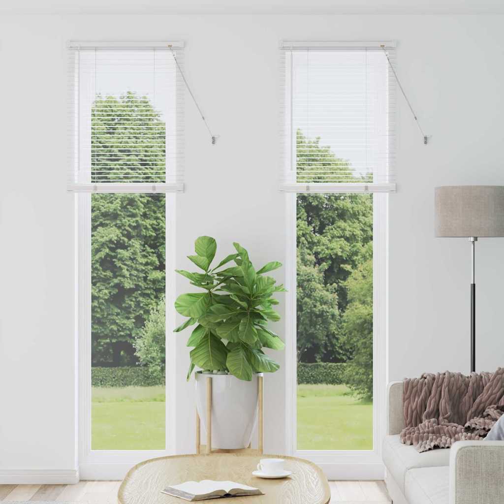 Tendaggi a veneziana Bianco 220 x 65 cm Alluminio