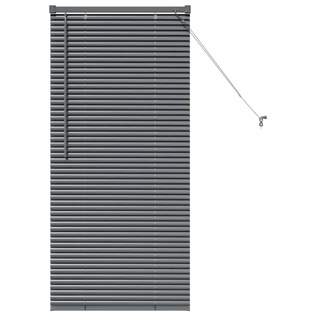Tendaggi a veneziana Grigio scuro 130 x 65 cm Alluminio | homemem39