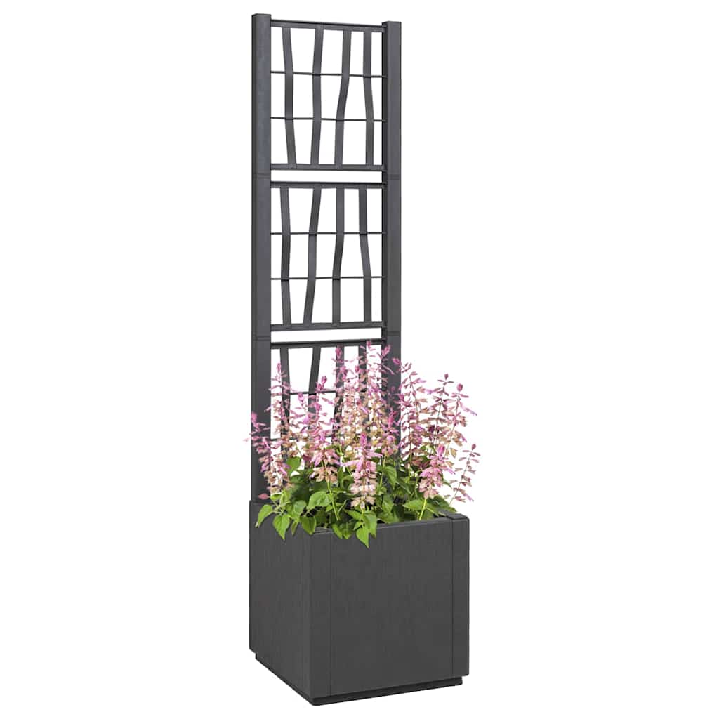 Vaso da giardino Antracite 36 x 36 x 140 cm Polipropilene - homemem39