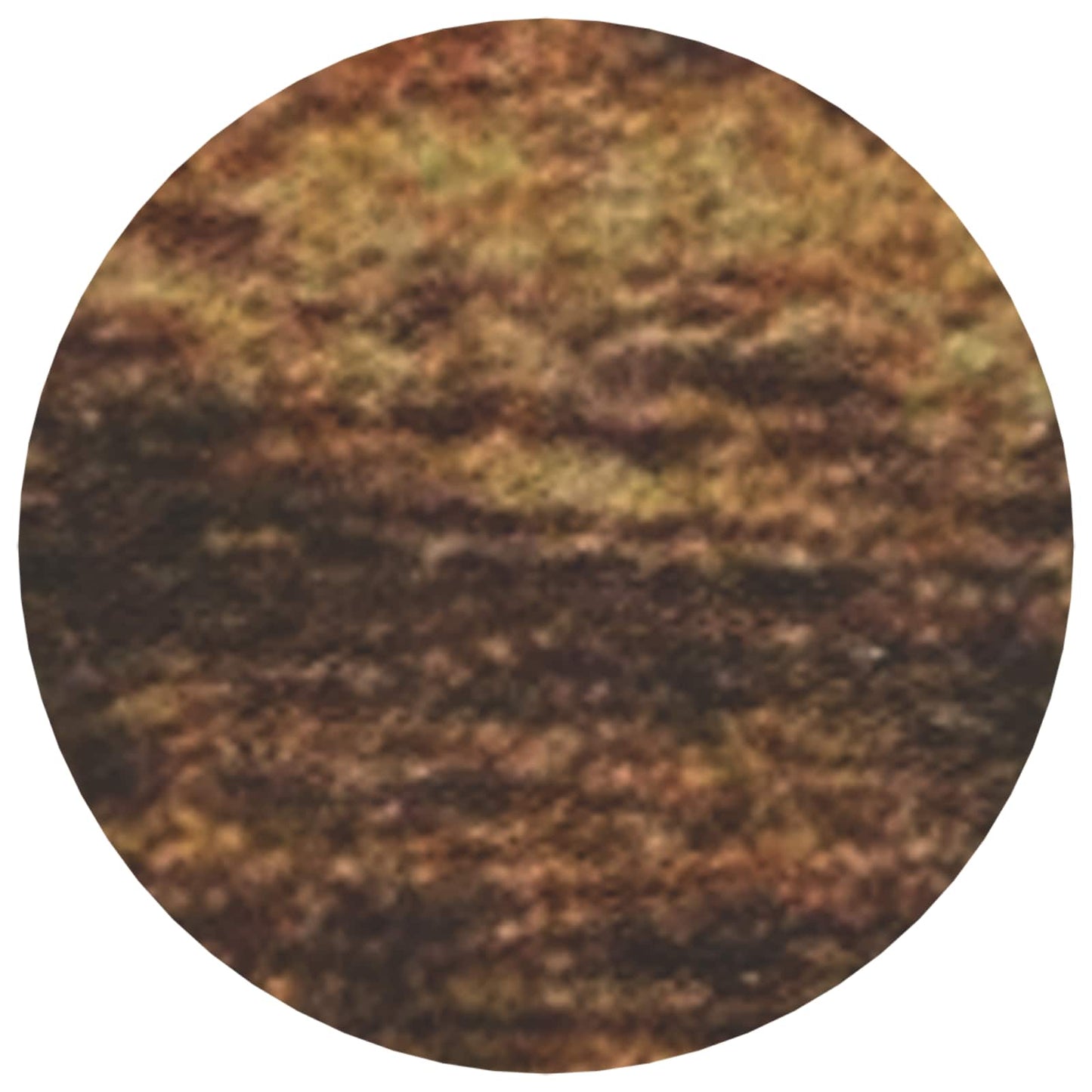 Copertura Vite Adesiva 2 pcs Legno vecchio Ø 20 x 0,5 mm