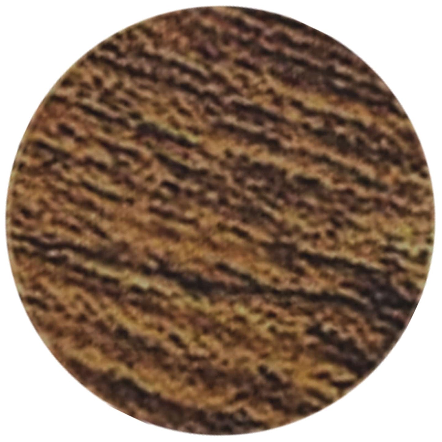 Copertura Vite Adesiva 2 pcs Rovere fumé Ø 20 x 0,5 mm