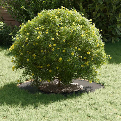 Anello piatto per albero Nero Ø30 / 60 cm Acciaio