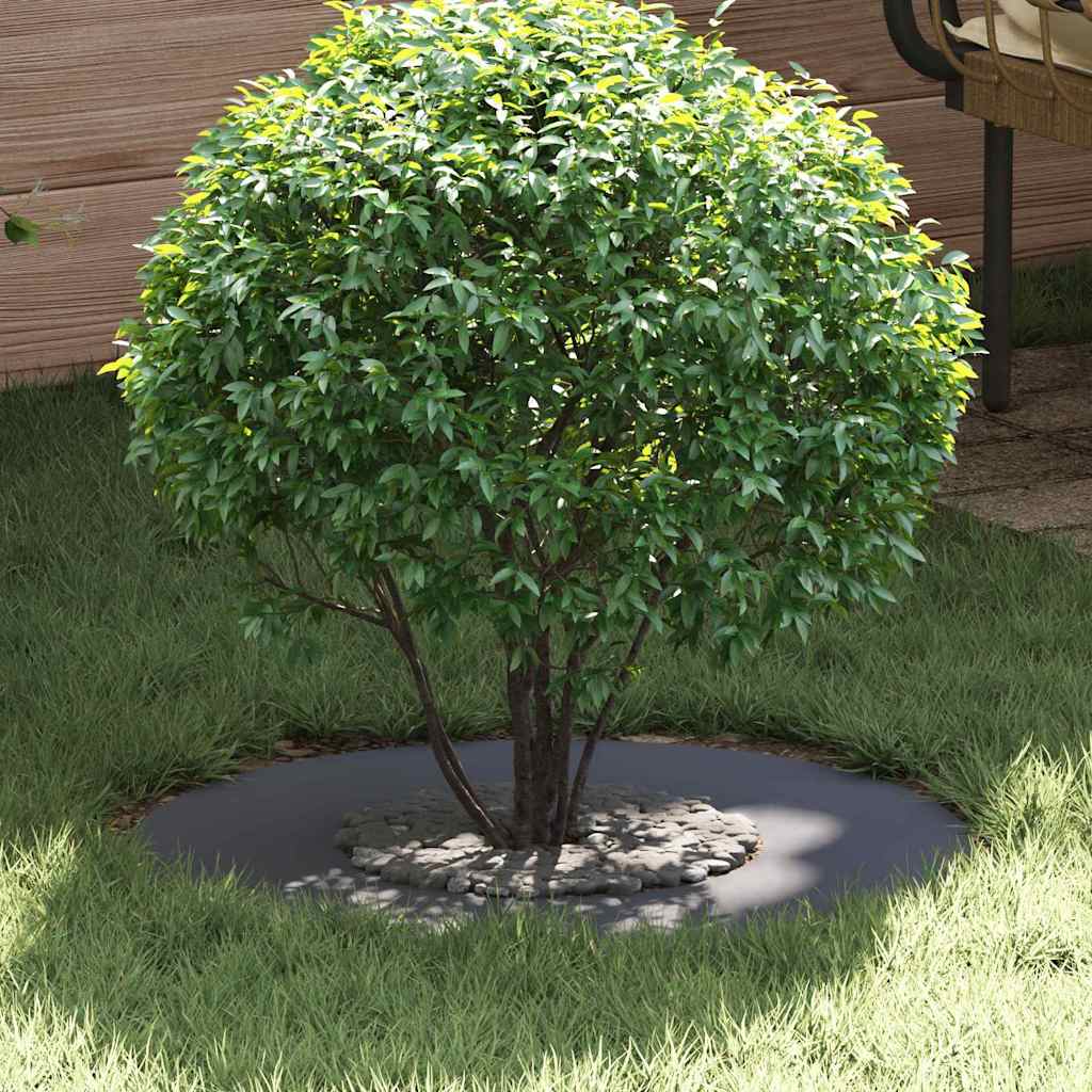 Anelli di Albero Piatto 5 pcs Antracite Ø30 / 60 cm Acciaio