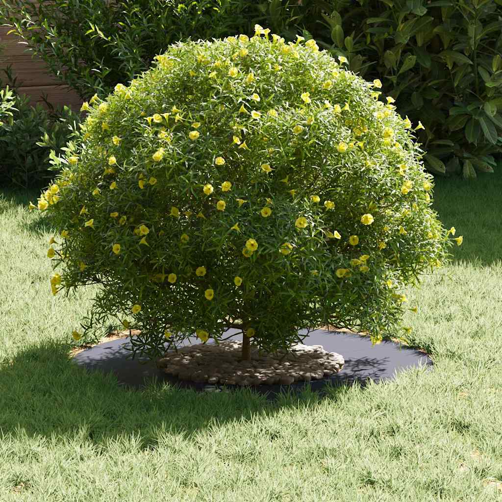 Anelli di Albero Piatto 5 pcs Antracite Ø30 / 60 cm Acciaio