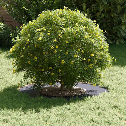 Anelli di Albero Piatto 5 pcs Antracite Ø30 / 60 cm Acciaio