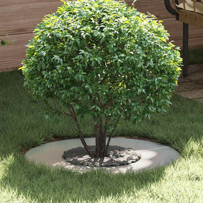 Anelli di Albero Piatto 5 pcs Argento Ø30 / 60 cm Acciaio zincato