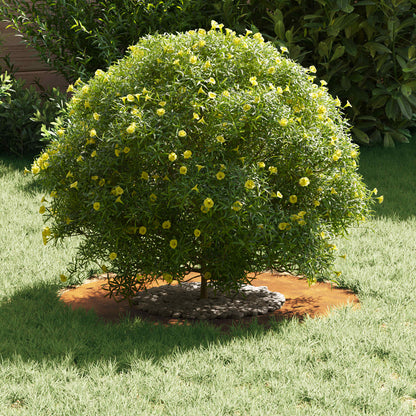 adatto per Anelli d'Albero Piatto 5 pcs Marrone Ø30 / 60 cm