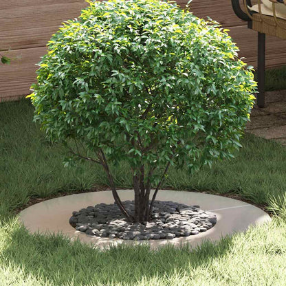 Anelli di Albero Piatto 5 pcs Argento Ø40 / 70 cm