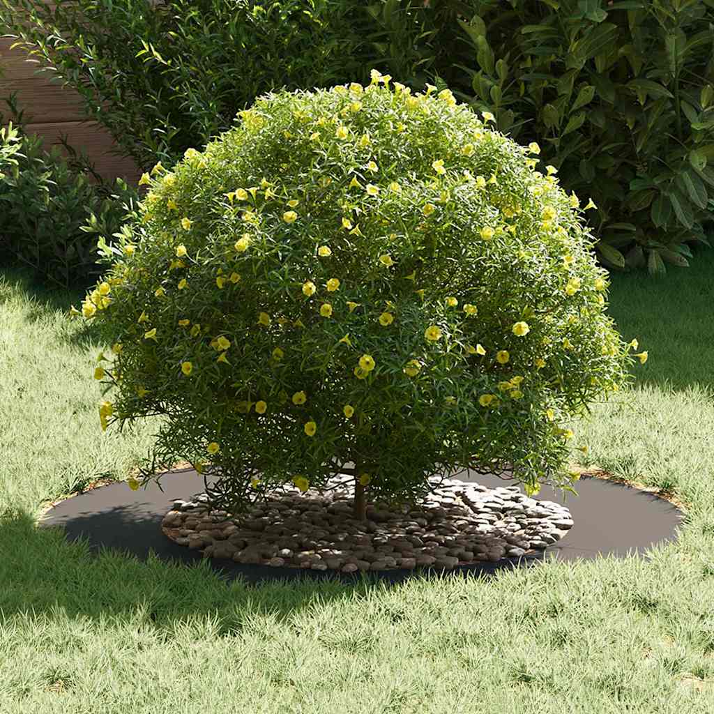 Anelli di Albero Piatto 5 pcs Nero Ø50 / 80 cm Acciaio