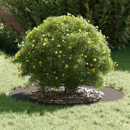 Anelli di Albero Piatto 5 pcs Nero Ø50 / 80 cm Acciaio