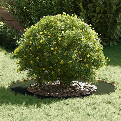 Anello piatto per albero Oliver verde Ø50 / 80 cm Acciaio